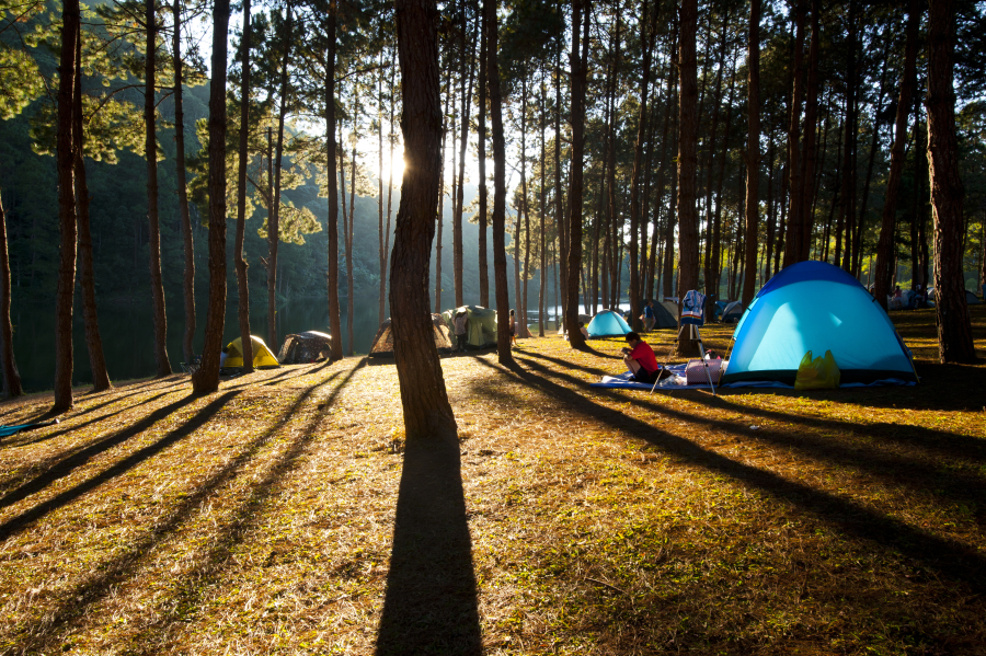 tentes dans un camping a Angles 85